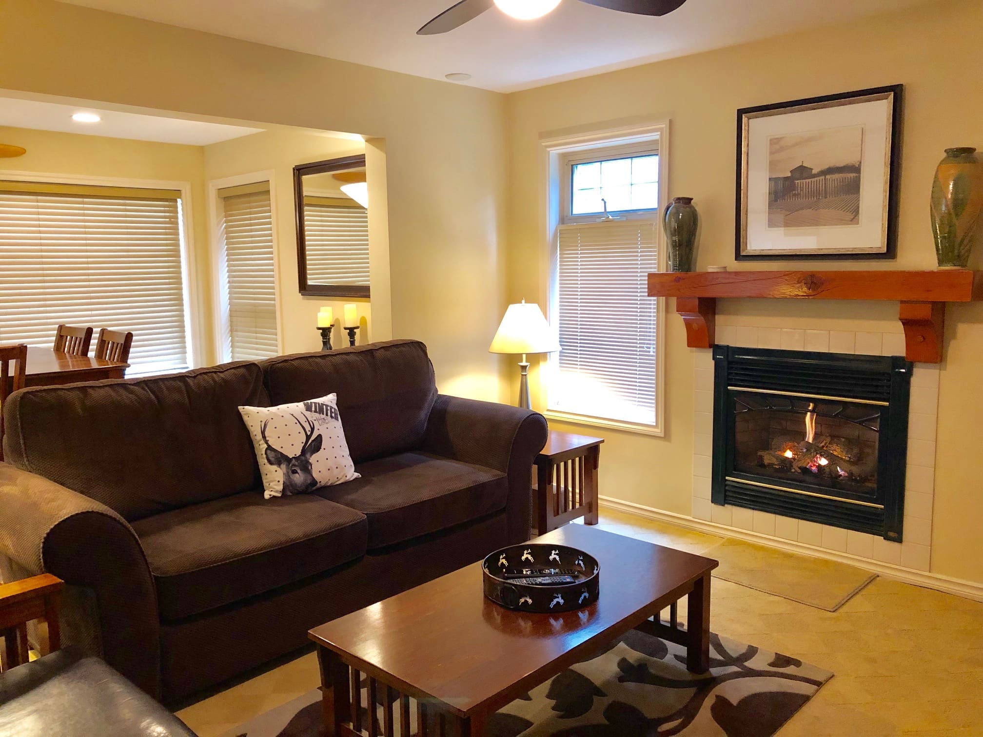 Bright, open suite with private hot tub, laundry, ski locker, BBQ. Living area has a gas fireplace and open concept. It's pet-friendly too and great ski in and out access to trails and lifts.