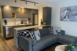 Kitchen and living room sectional sofa of ground level private suite. Modern appliances and open concept living. Private hot tub, laundry, and cozy living space for a couples getaway or small family.