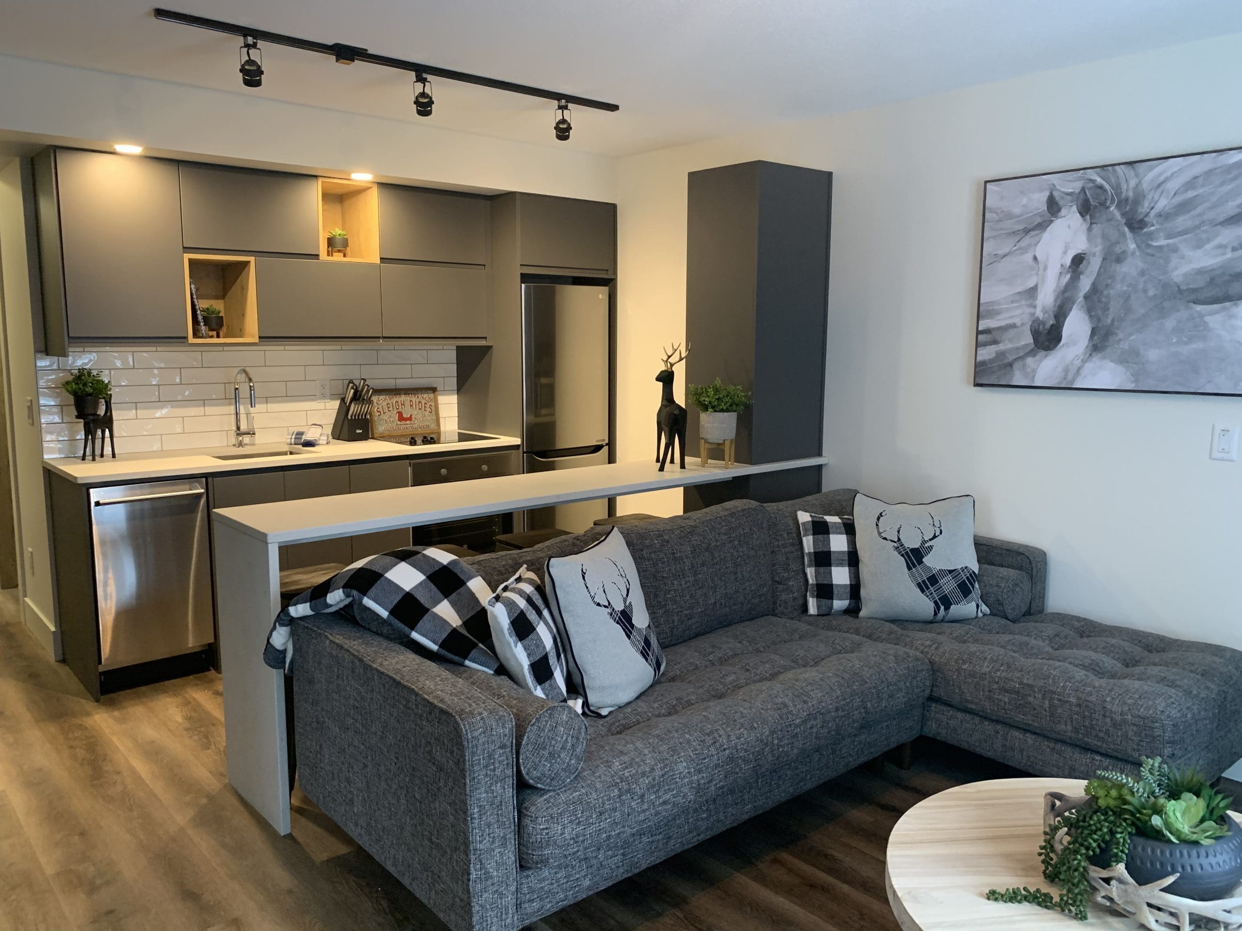 Kitchen and living room sectional sofa of ground level private suite. Modern appliances and open concept living. Private hot tub, laundry, and cozy living space for a couples getaway or small family.